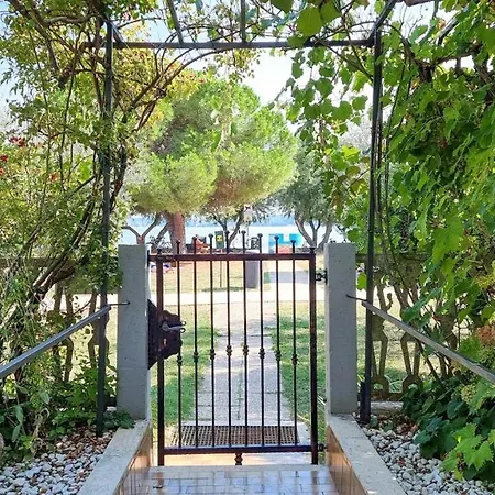 Apartament Petretic 1 *