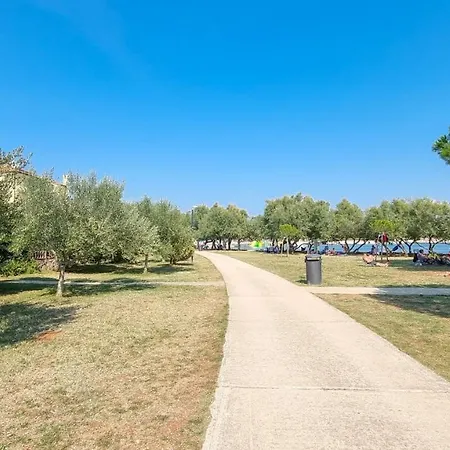 Apartament Petretic 1 *