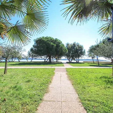 Apartament Petretic 1 *