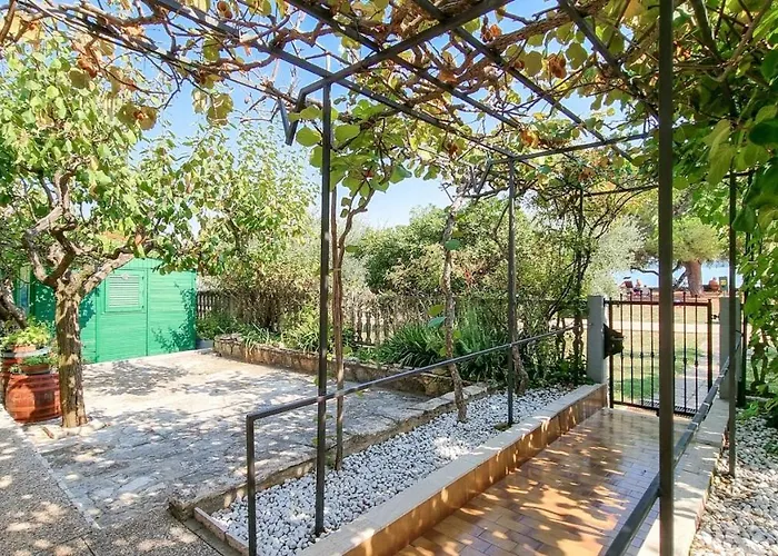 Petretic 1 * Novigrad Istria